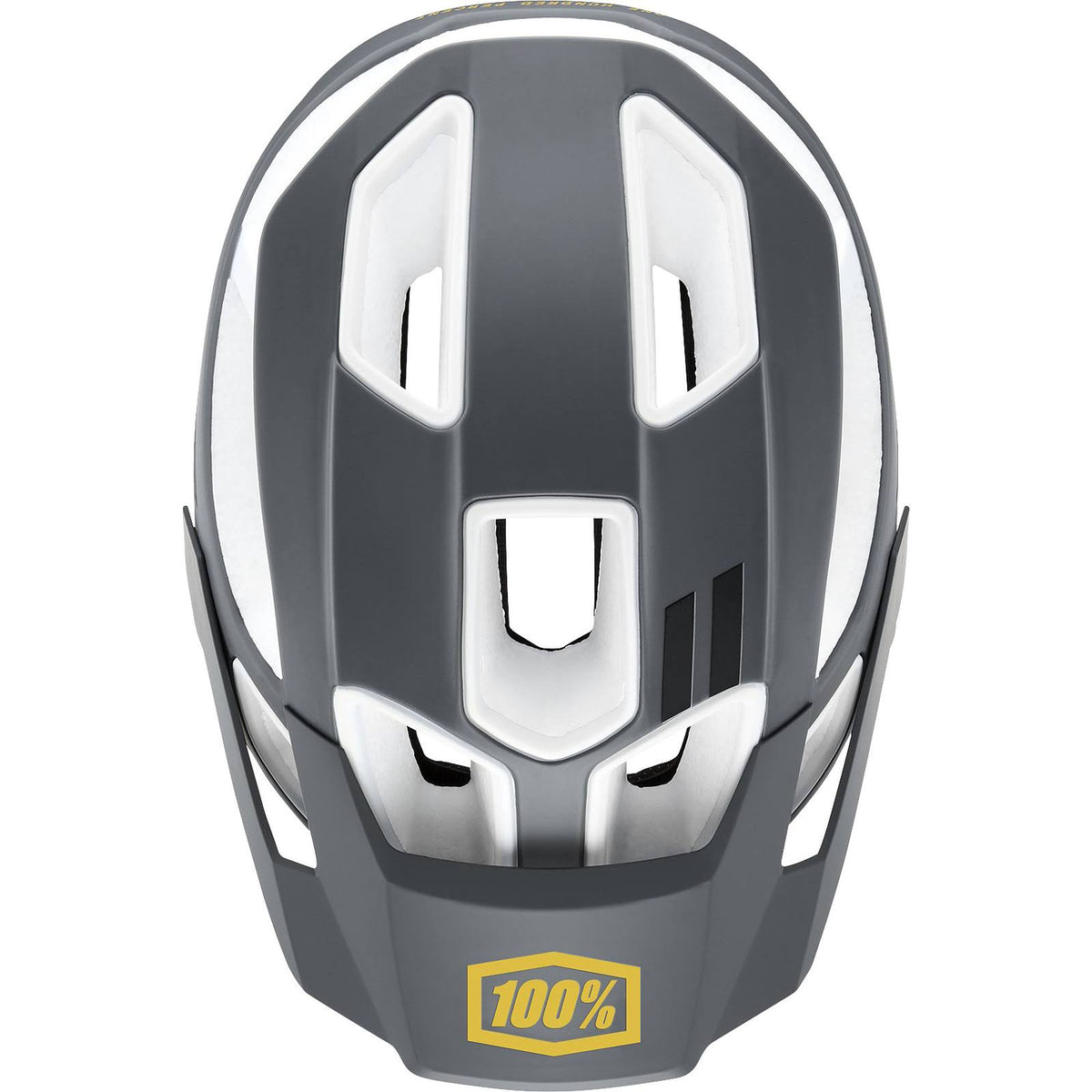 Charcoal Helmet L/XL V30302