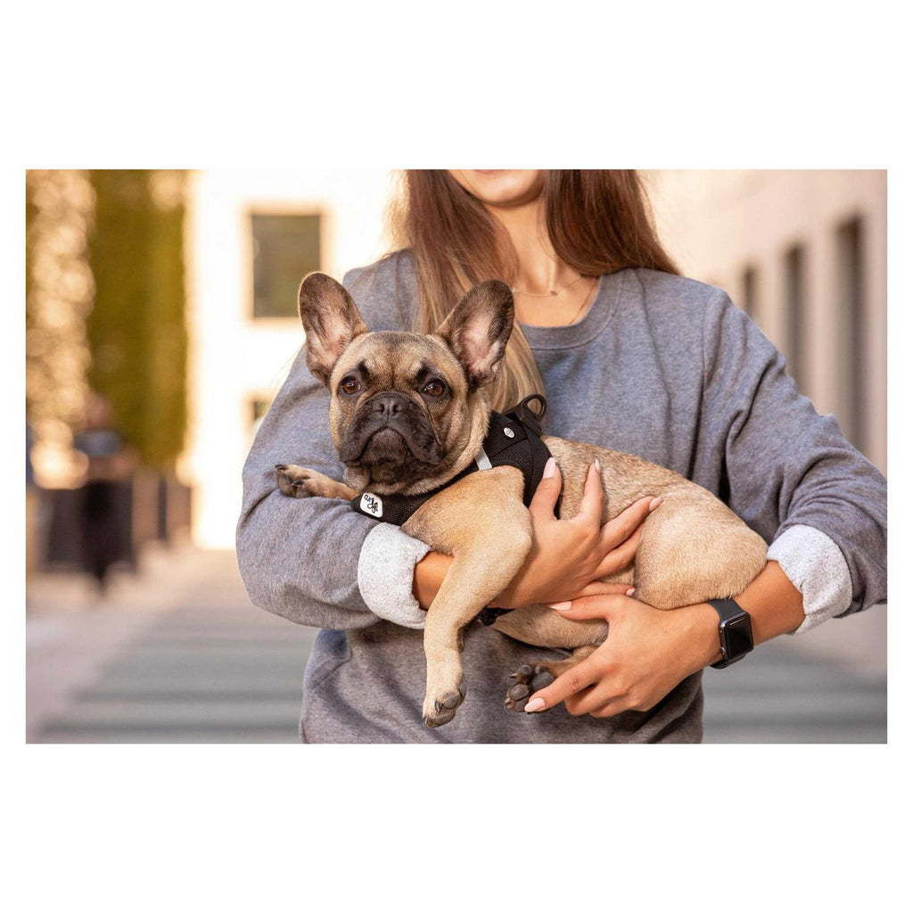 Air-Mesh Vest Dog Harness V816