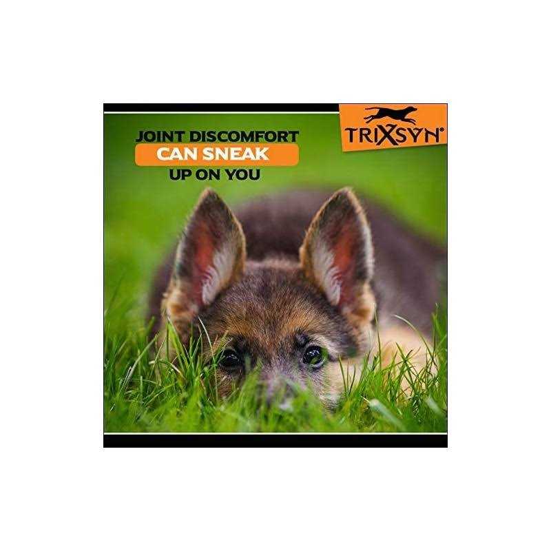 Canine Joint Supplement B55308