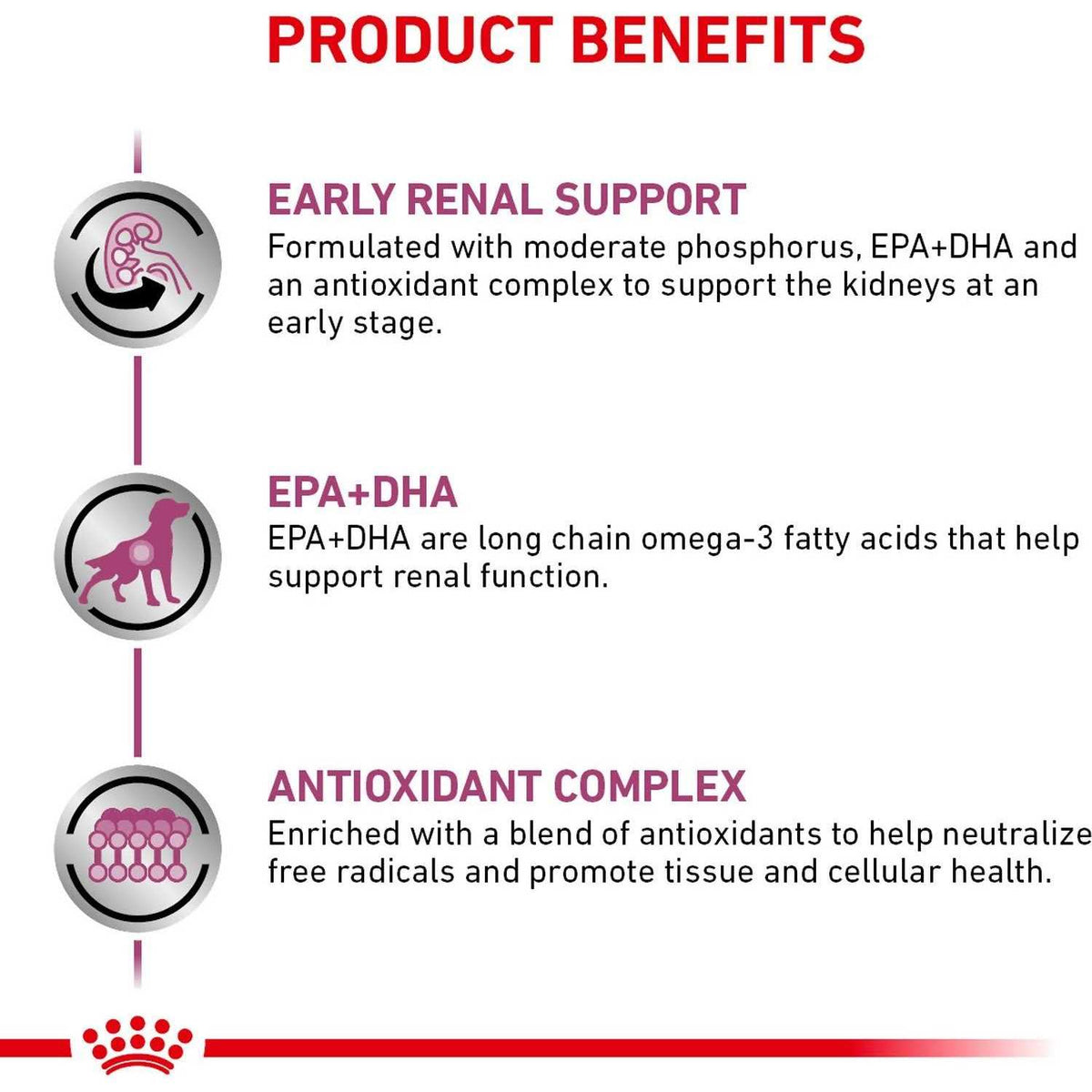 Renal Support Dry Dog Food W55964