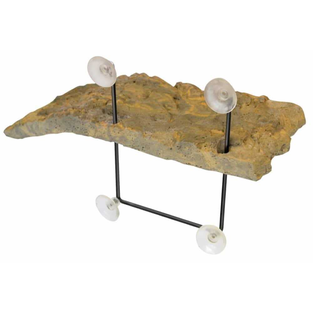 Turtle Dock G868915