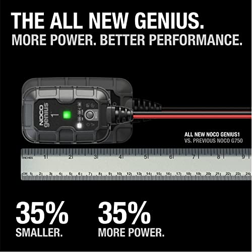 1A 6V and 12V Smart Car Battery Charger E445