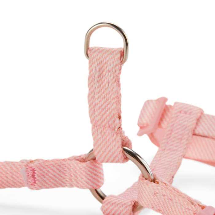 Kitten Harness & Leash Set T93939