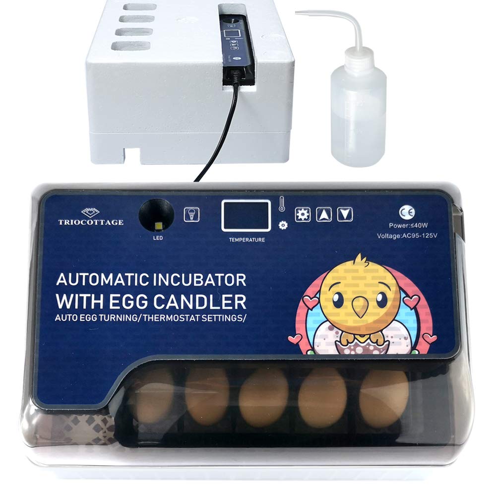 Egg Incubator, Small Automatic Incubator with Digital Temperature Humidity C736