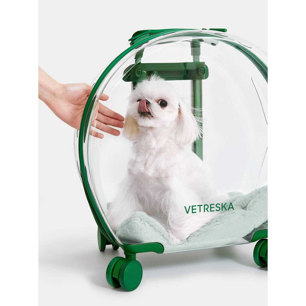 Dog & Cat Carrier A83015