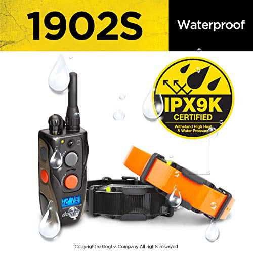Remote Training Collar N96851