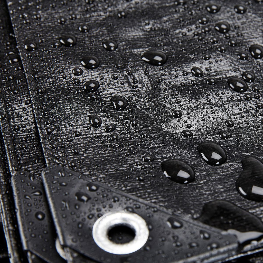 20 ft. x 30 ft. Silver and Black Weather-Resistant Tarp Z706645