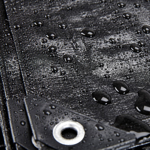 20 ft. x 30 ft. Silver and Black Weather-Resistant Tarp Z706645