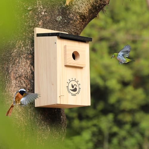 2 Pack Bird Houses D642