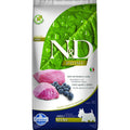 Lamb & Blueberry Grain Free Dry Dog Food K926