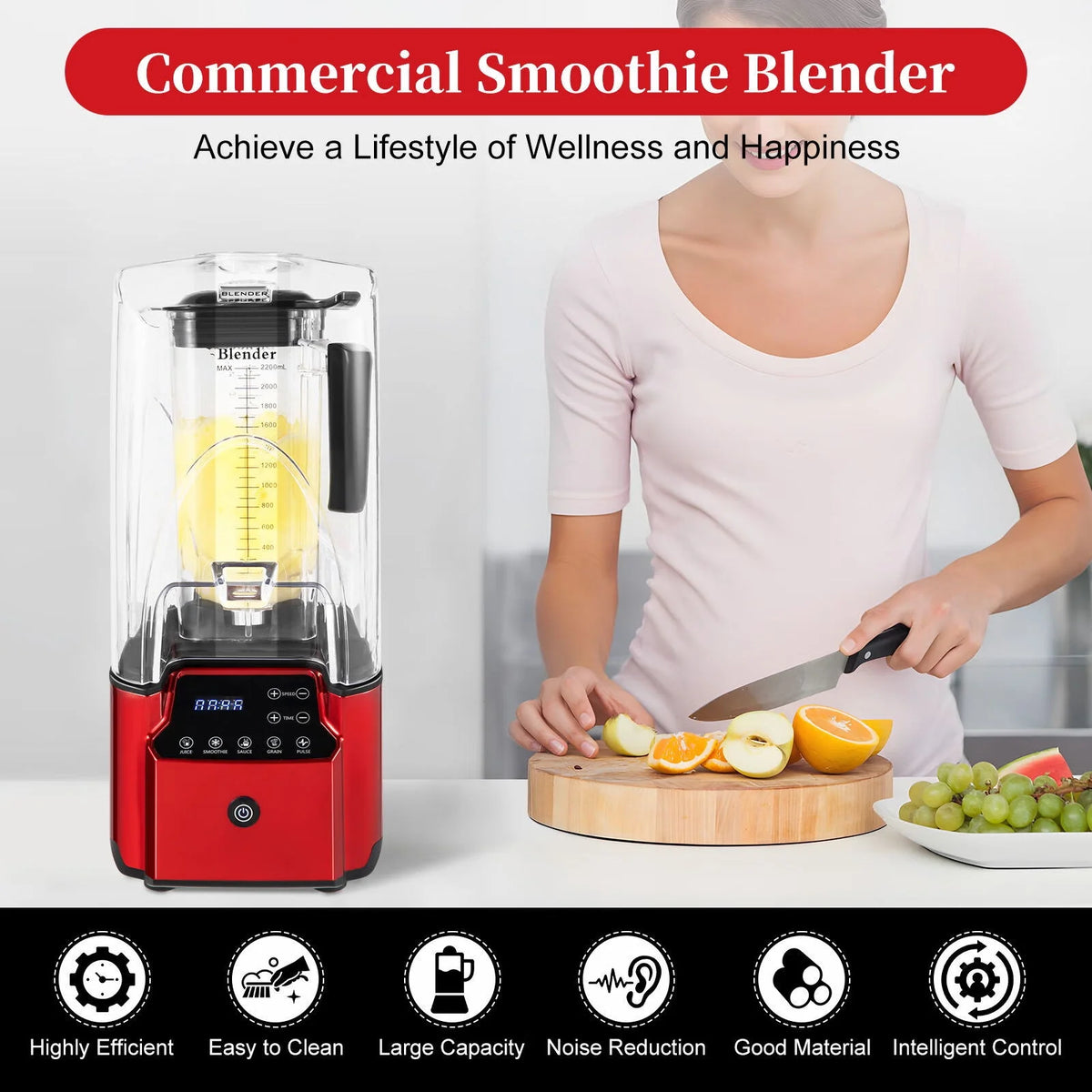 2.2L Quiet Countertop Blender D2519