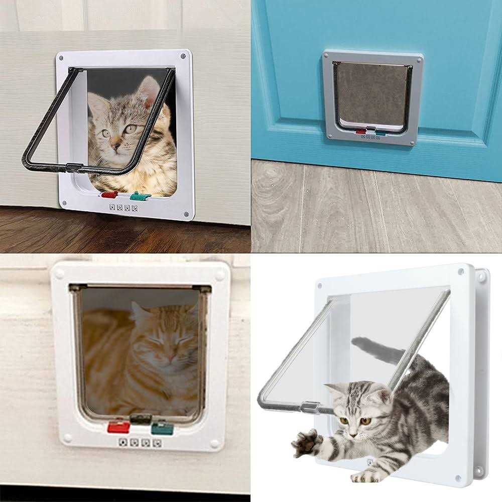 4 Way Locking Cat Door Q431535