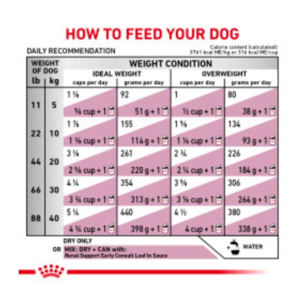 Renal Support Dry Dog Food W55964