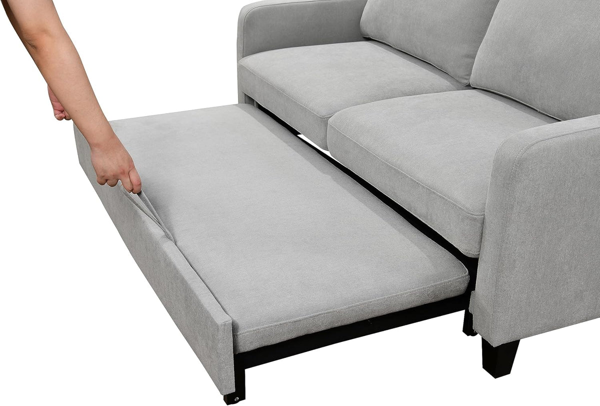 Light Gray Queen Sleeper Sofa Bed with Pullout Bed M245014