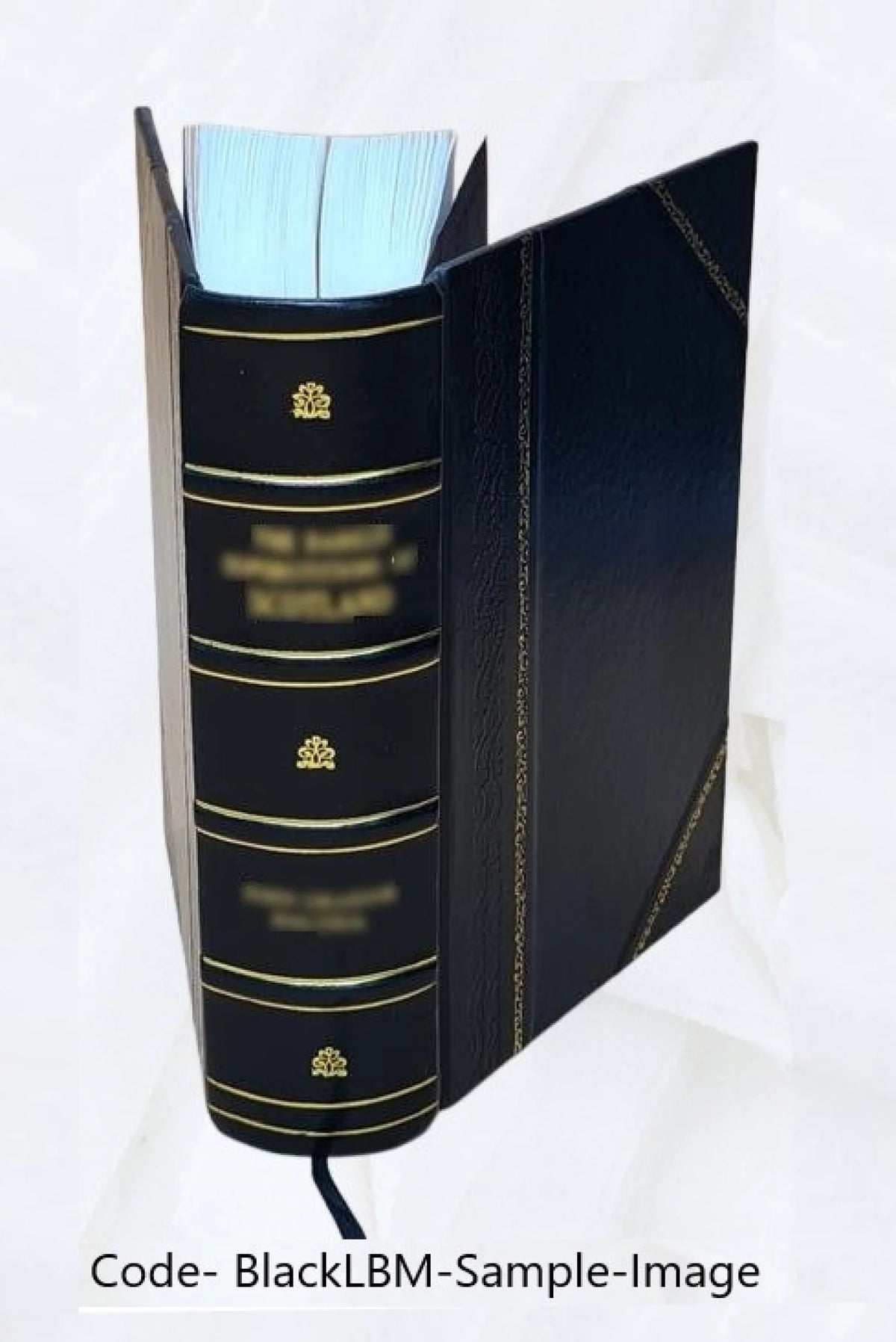 Leather Bound P6105