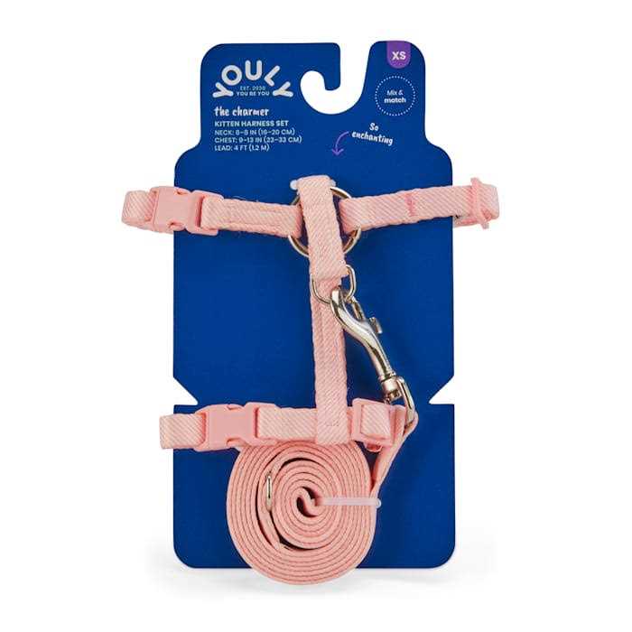 Kitten Harness & Leash Set T93939