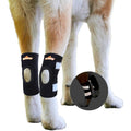 Dog Rear Leg Hock Ankle Support with Reflective Straps E140384