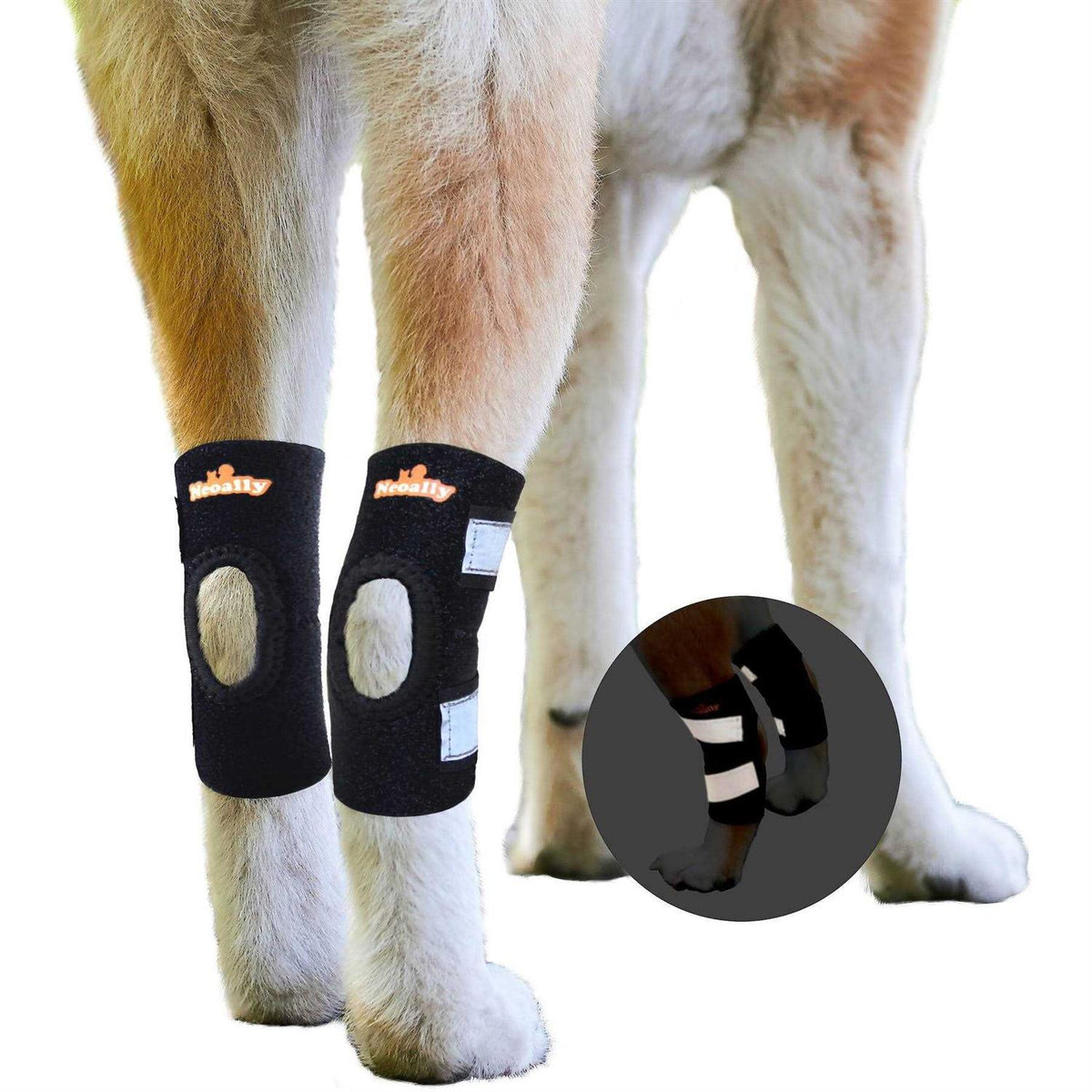 Dog Rear Leg Hock Ankle Support with Reflective Straps E140384