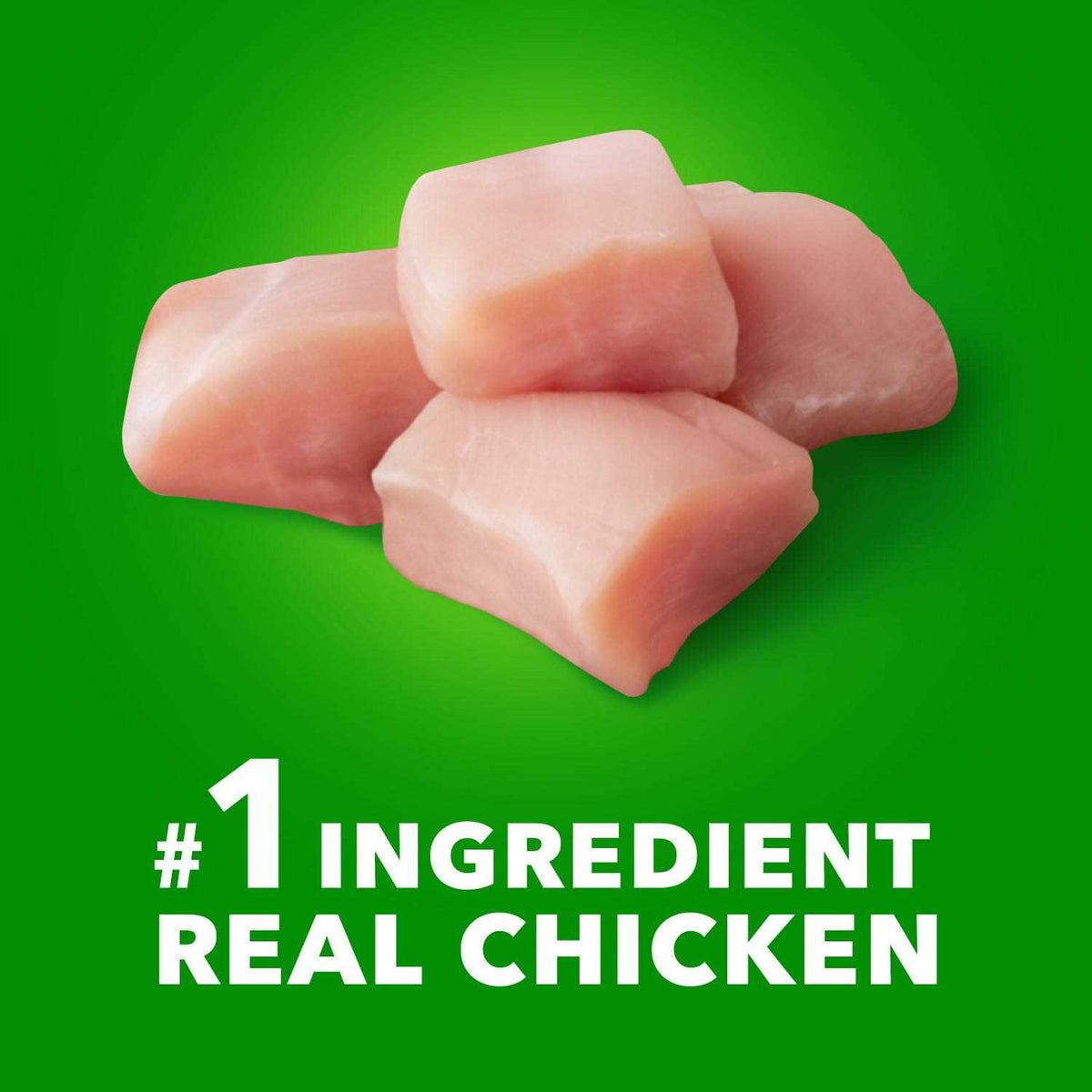 Chicken Dry Dog Food A27212