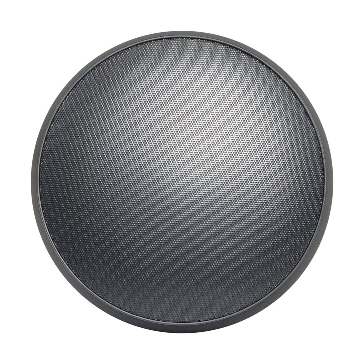 120W Hanging Speaker U626