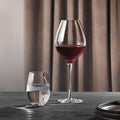 Red Wine Glass J860