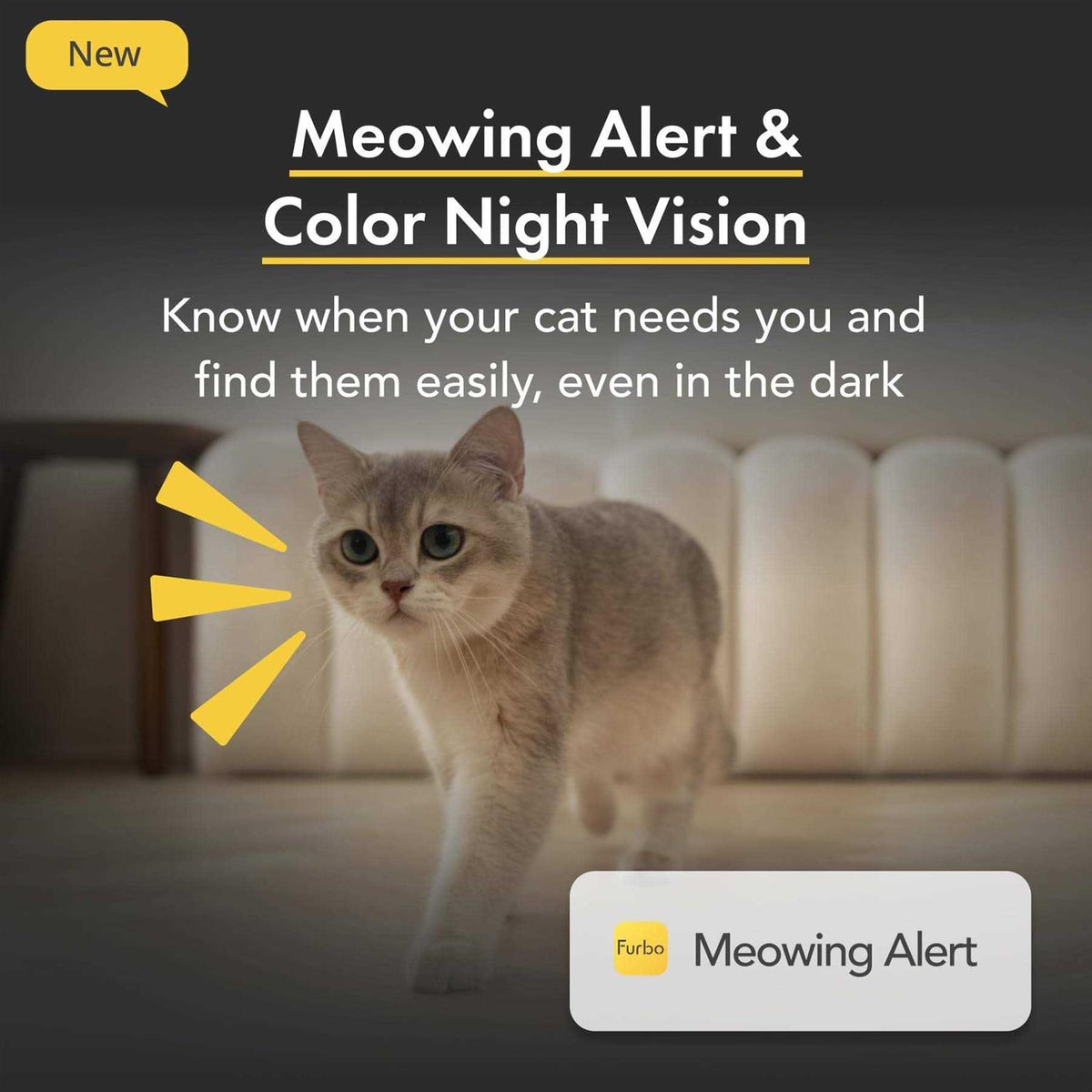 360 View Cat Camera Treat Dispenser J20017