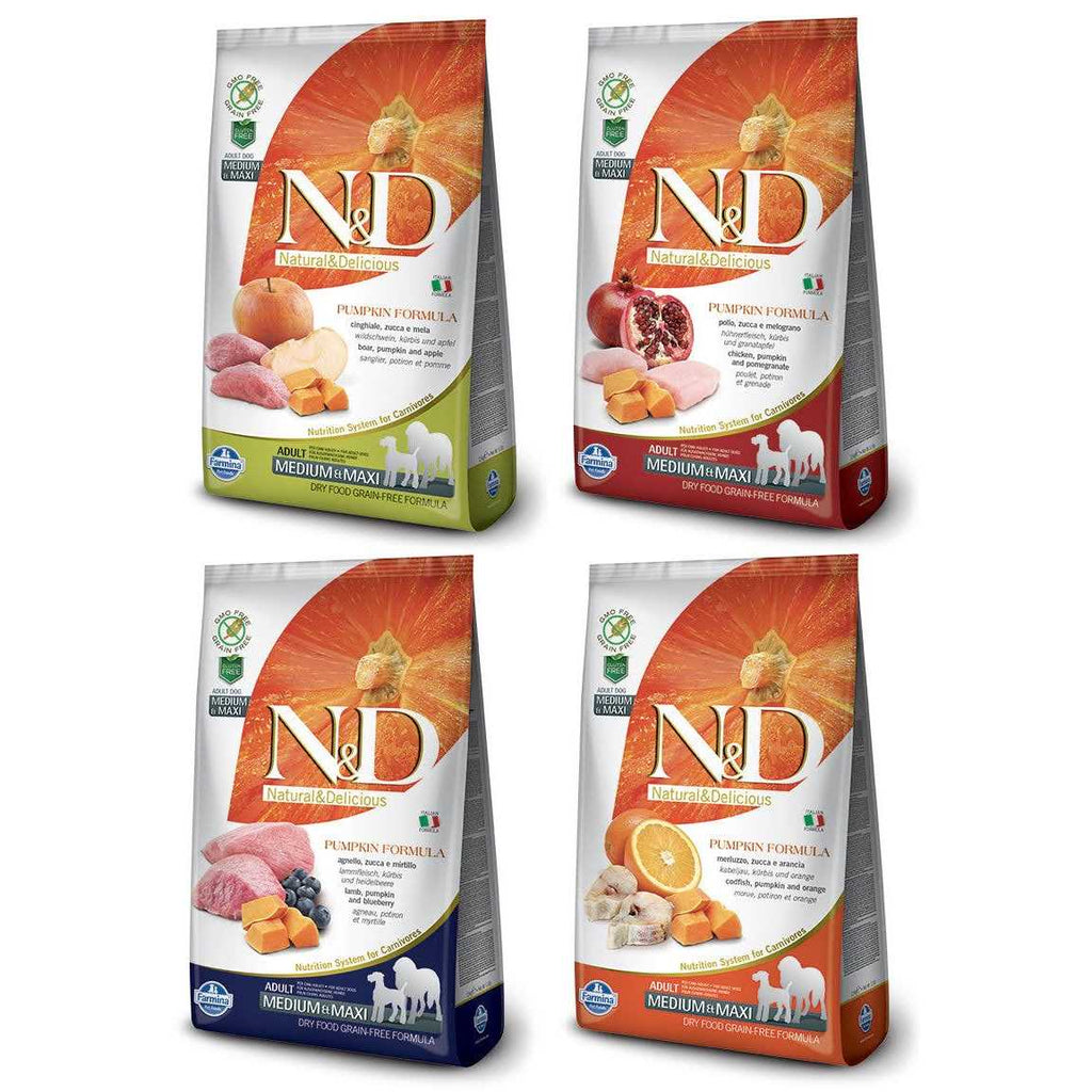 Lamb & Blueberry Grain Free Dry Dog Food K926