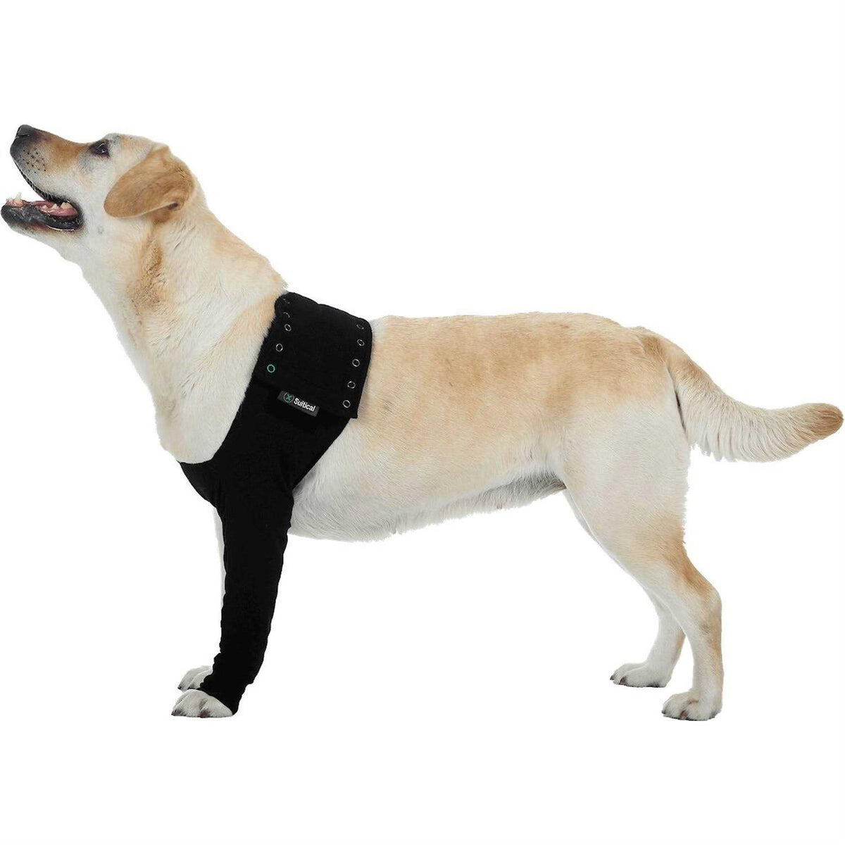 Dog Recovery Sleeve O180191