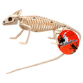 Halloween Lizard Skeleton (Pack of 24) J10498