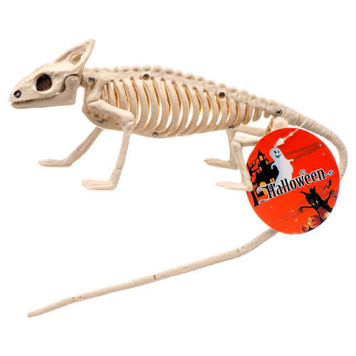 Halloween Lizard Skeleton (Pack of 24) J10498