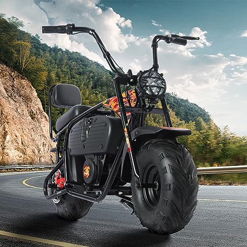 36V 1000W Electric Dirt Bike, 2-Speed Off-Road Motorcycle, Dark Red E141