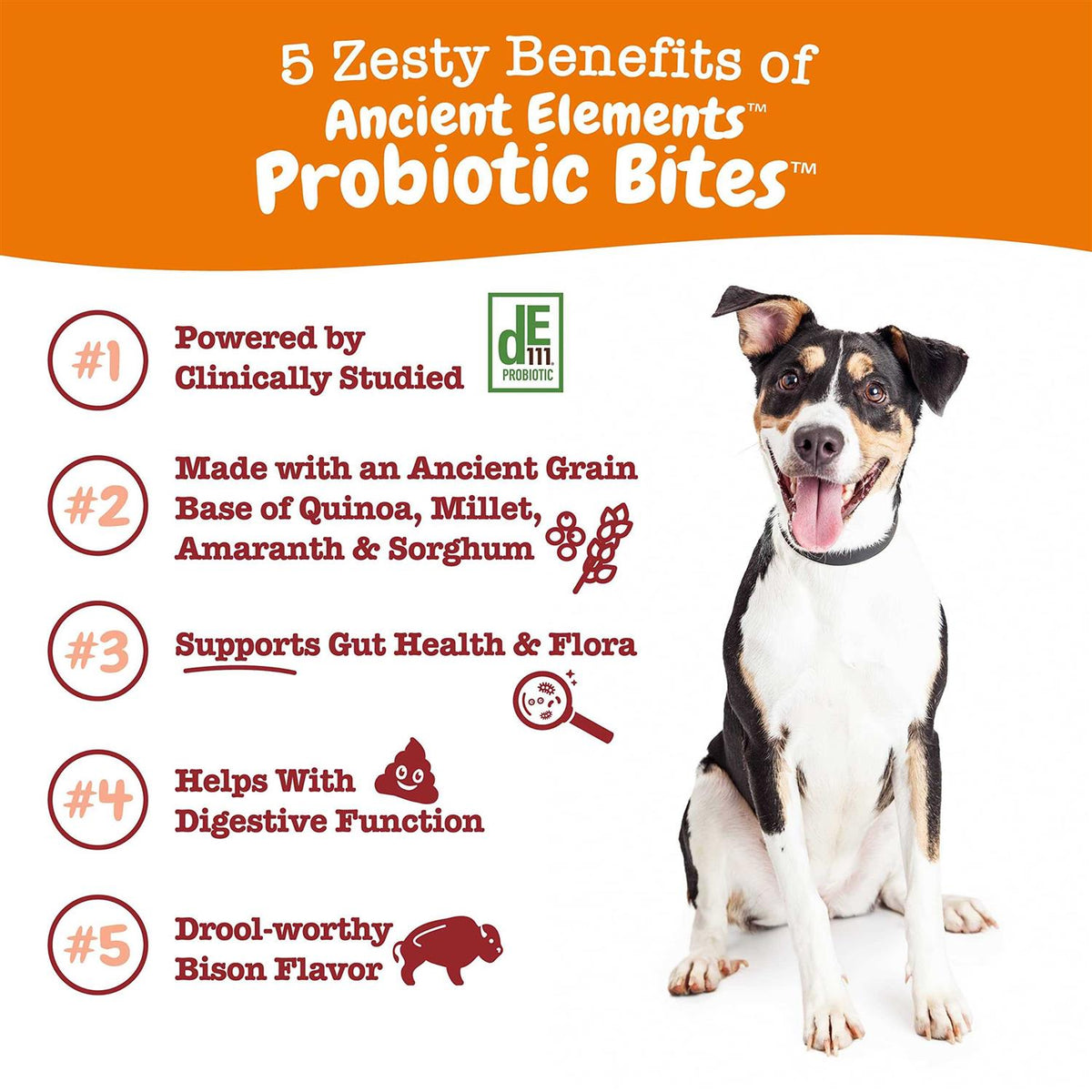 Probiotic Bites for Dogs V252