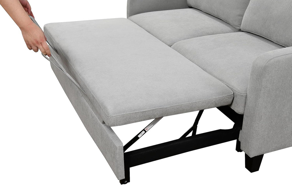 Light Gray Queen Sleeper Sofa Bed with Pullout Bed M245014