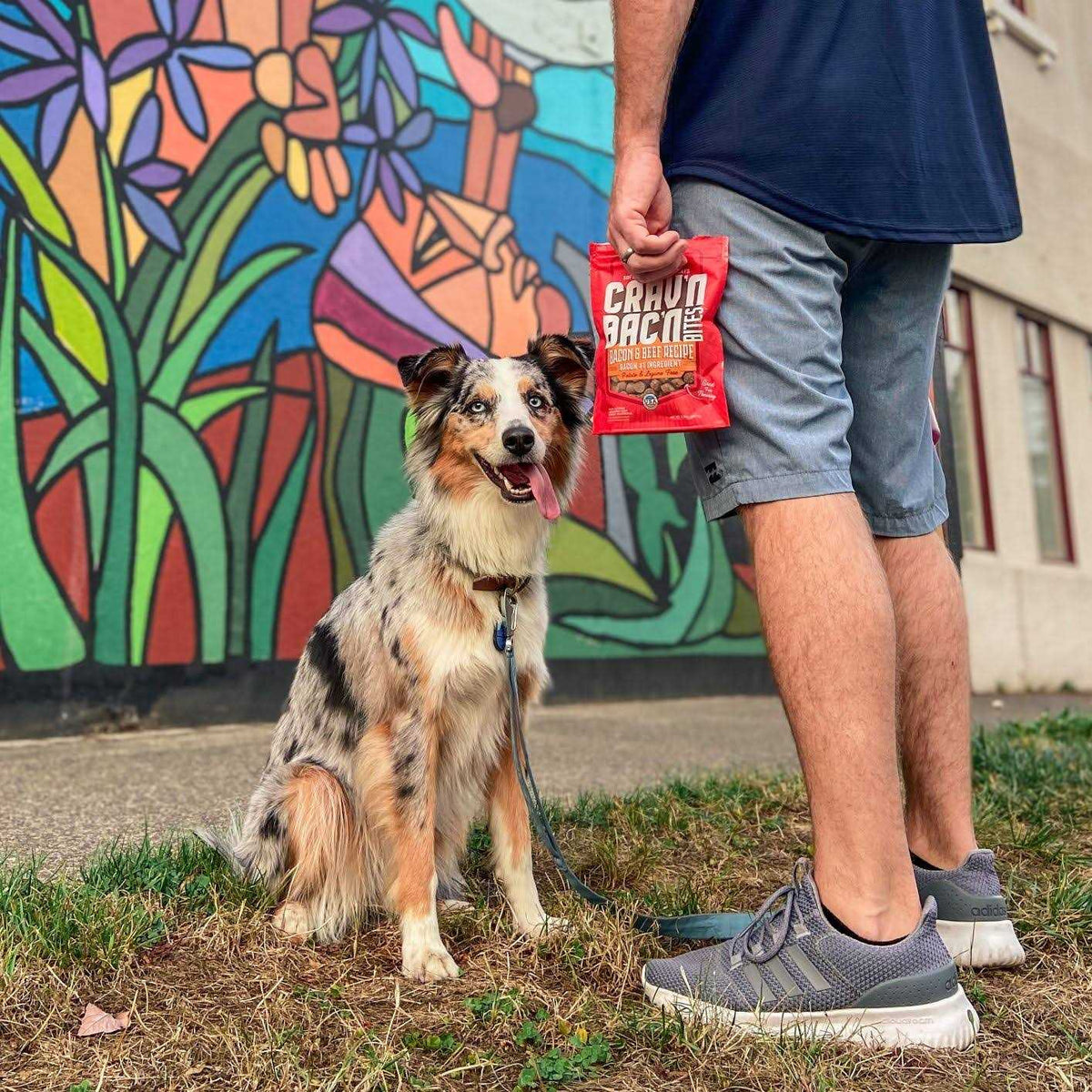 Dog Treats K5800