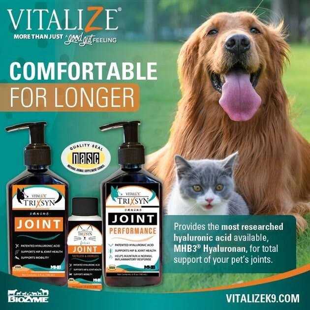 Canine Joint Supplement B55308