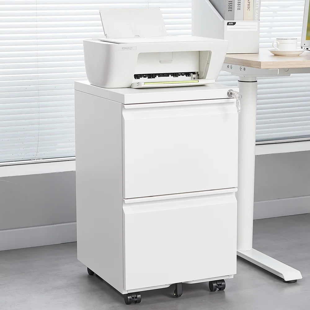 Black 2 Drawer Metal Mobile File Cabinet with Lock W179