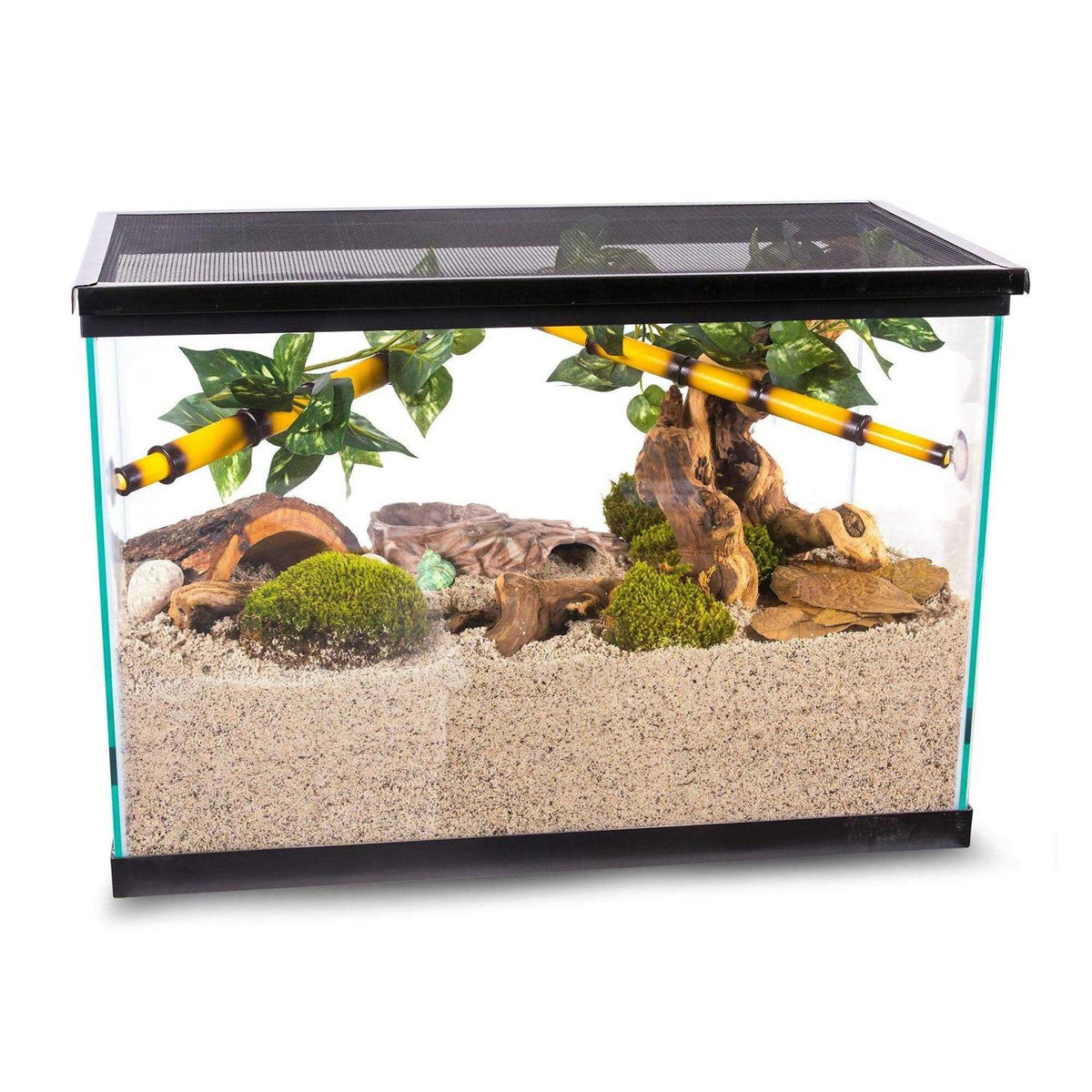 Hermit Crab Sand Substrate C296759
