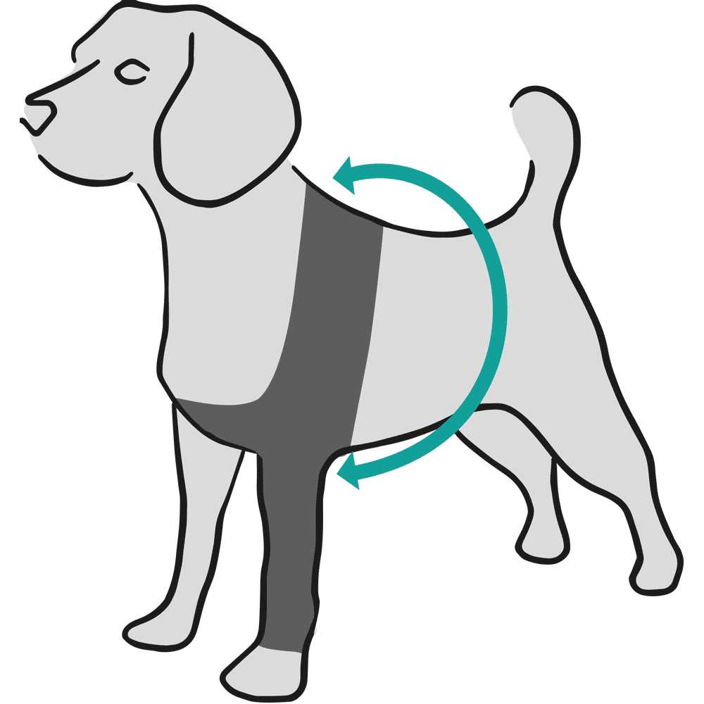 Dog Recovery Sleeve O180191