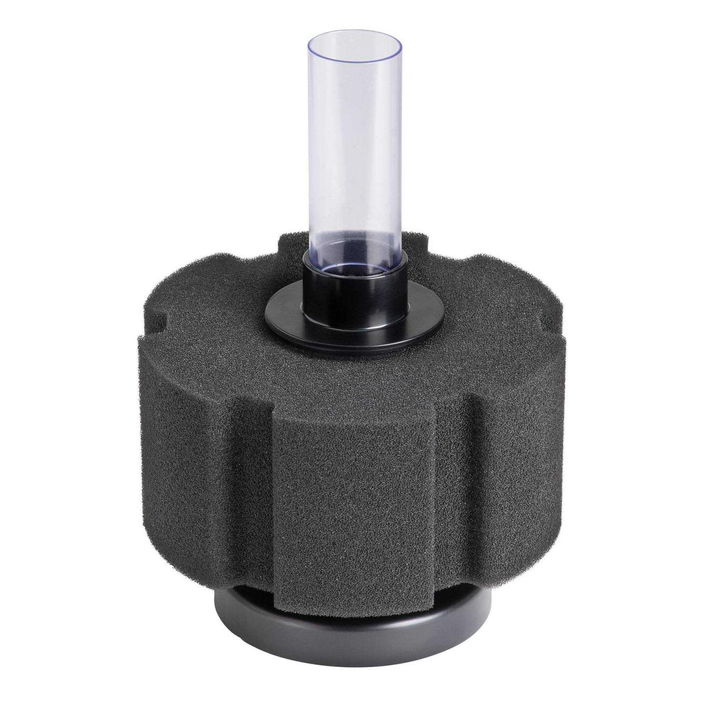 Sponge Filter B649