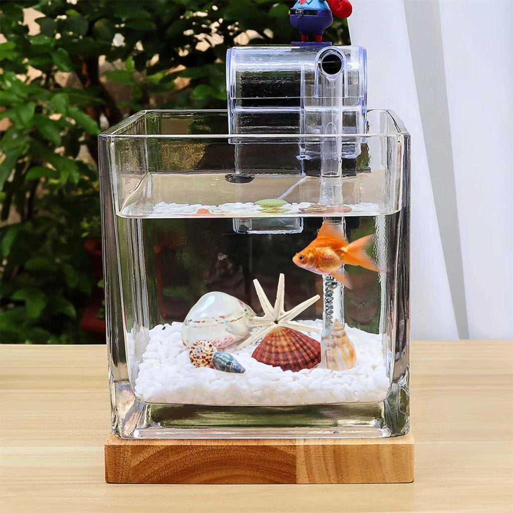 0.81 Gallon Glass Fish Tank Kit J352