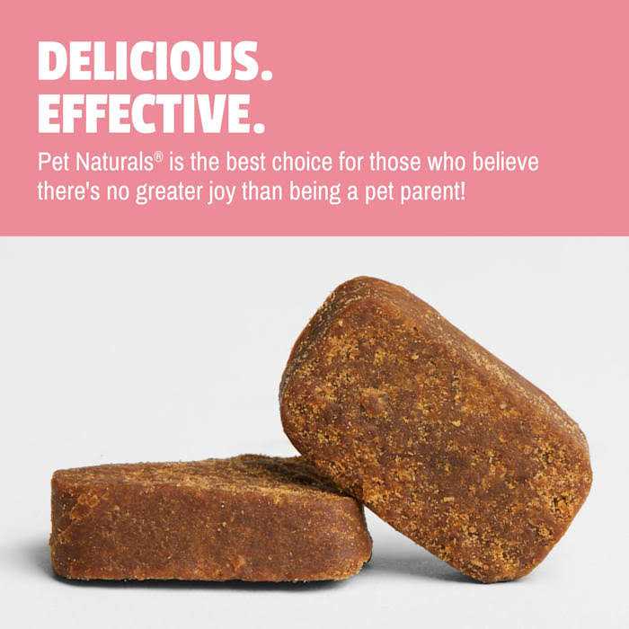 Daily Probiotic for Dogs W78553