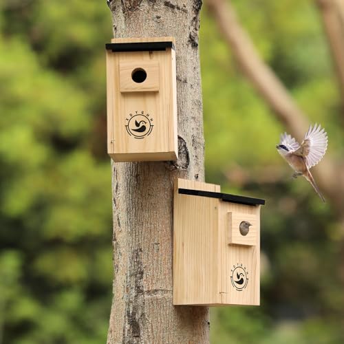 2 Pack Bird Houses D642
