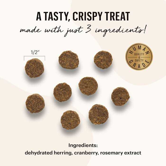Cat Treats O862