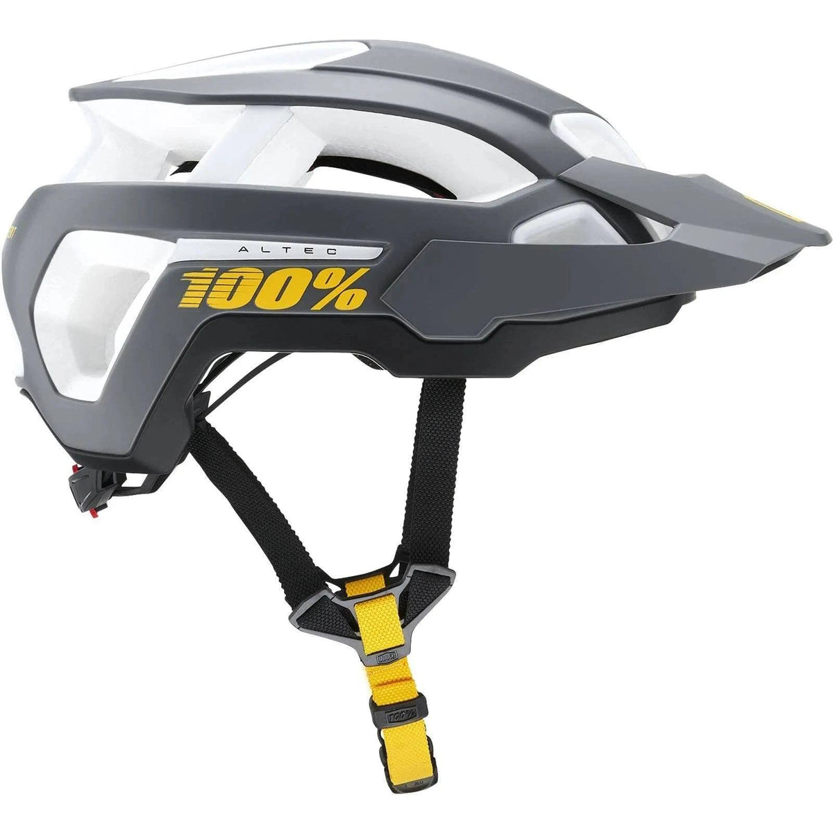 Charcoal Helmet L/XL V30302