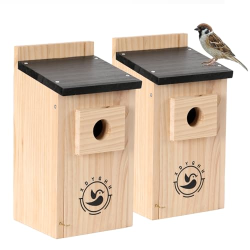 2 Pack Bird Houses D642