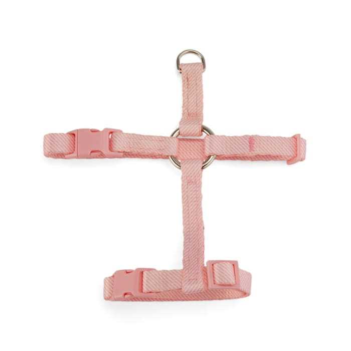Kitten Harness & Leash Set T93939