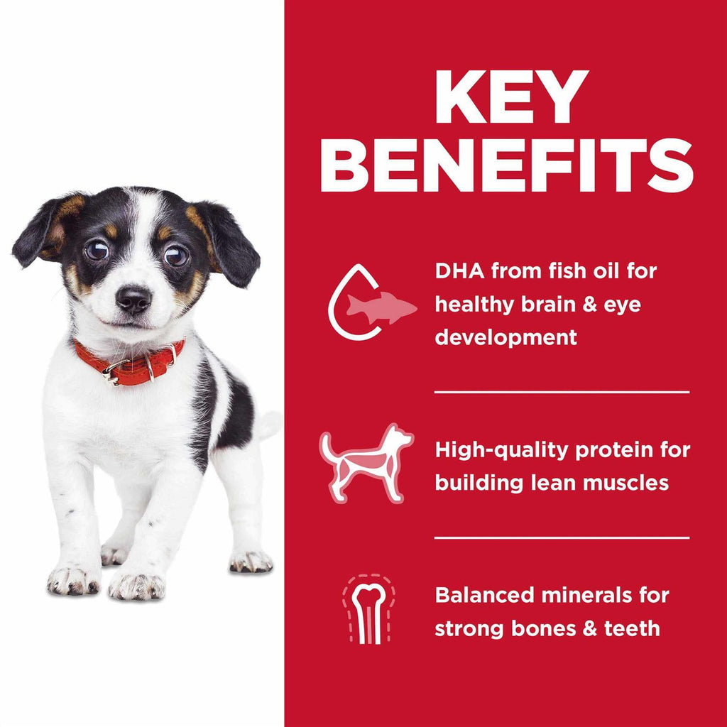 Dry Dog Food L1221