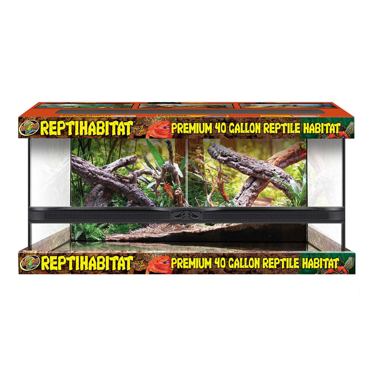 Naturalistic Terrarium Q947