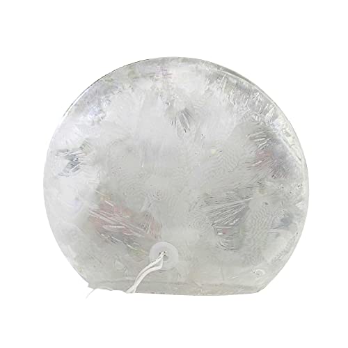 Coral Glass Hummingbirds Flowers Electric Orb, 7.0 inch S78826