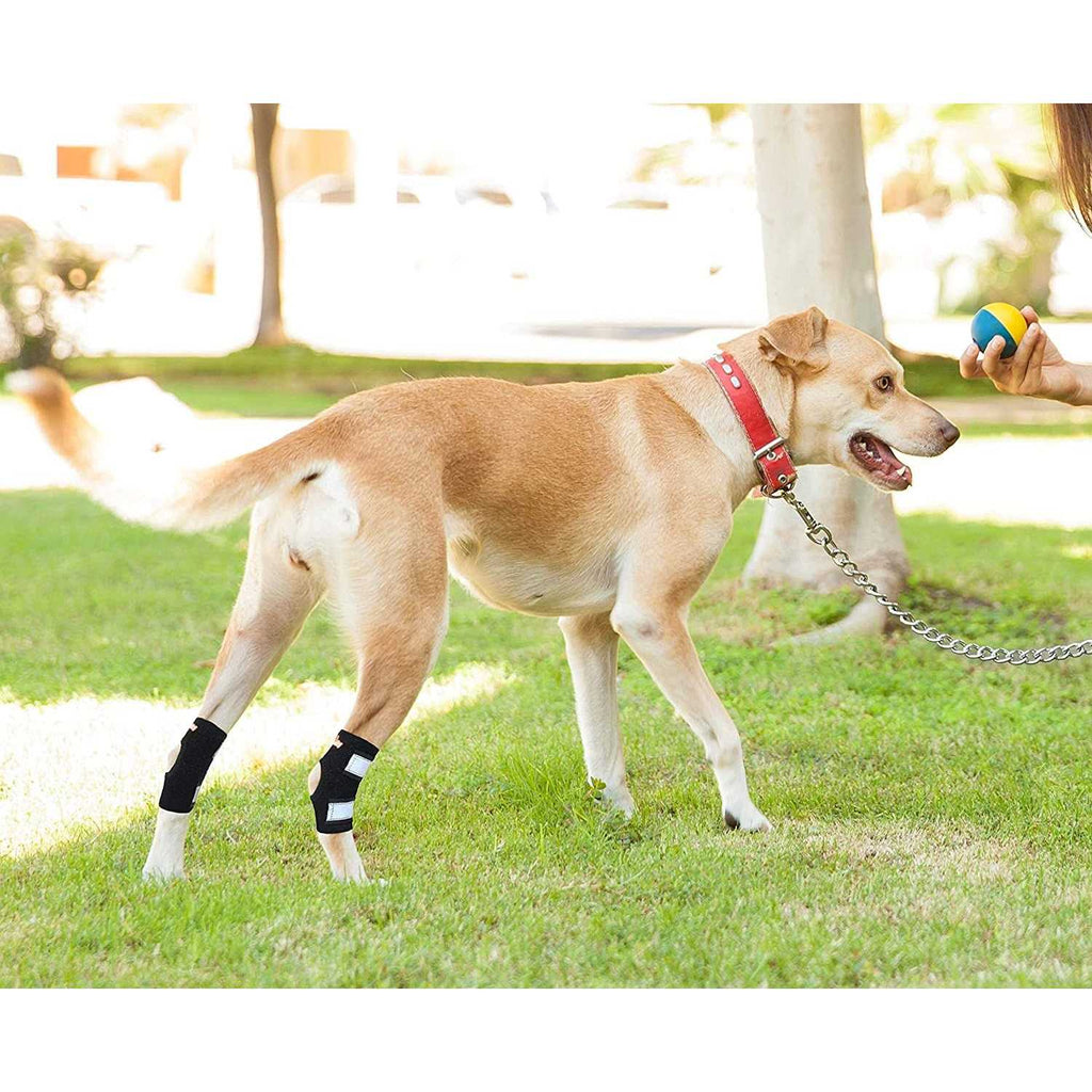 Dog Rear Leg Hock Ankle Support with Reflective Straps E140384